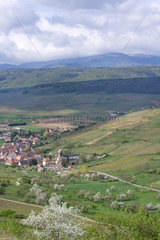 Villages and hills with Strangenberg vineyars  Westhalten  Haut-Rhin  Alsace  France