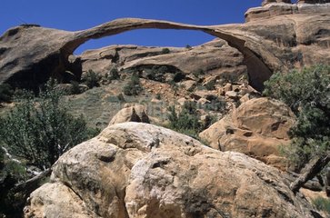 Der Landcape Archae im Utah USA National Park