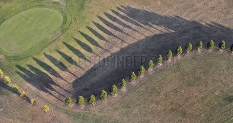 Row of trees along Golf - Picardy France