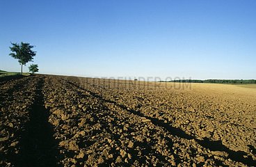 Field plowed under a blue sky the Moselle France
