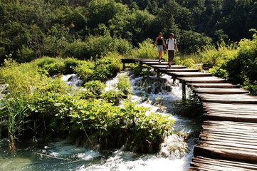 Ecotouristes sur une passerelle en bois traversant ruisseau