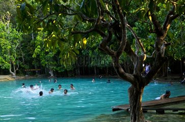 Krabi Emerald Pool Khao Phra Bang Khram NR Thailand
