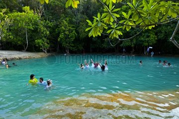 Krabi Emerald Pool Khao Phra Bang Khram NR Thailand