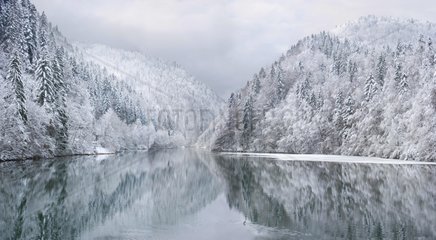 Gorges du Doubs in winter - Haut-Doubs Franche-Comte France