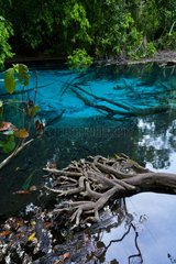 Blue Pool Hot Spring Khao Phra Bang Khram NR Thailand