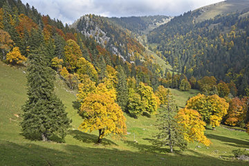 Chasseral Massif in autumn  Jura  Switzerland