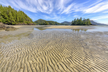 Low tide in San Josef Bay  north of Vancouver Island  Cape Scott Provincial Park  British Columbia  Canada