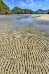 Low tide in San Josef Bay  north of Vancouver Island  Cape Scott Provincial Park  British Columbia  Canada