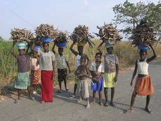 Children collect firewood in Angola. Feeding centres and other humanitarian aid were organised in Angola after widescale malnutrition during and following the countrys civil war.