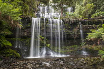 Russel Waterfall  Mount Field National Park  Tasmania  Australia
