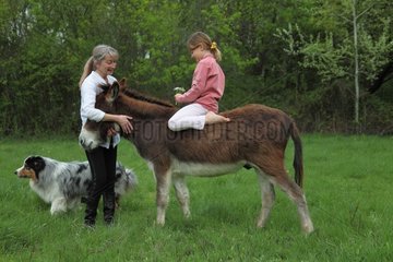Magnetic therapy on a donkey
