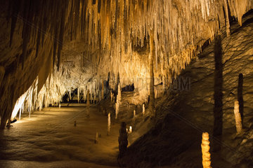 Dolomite Cave in Tasmania  Australia