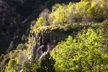 Cascade on tufa (limestone concretion  housing directive)  Regional Nature Reserve of Saint Maurin  La-Palud-sur-Verdon  Verdon Regional Nature Park  Alpes de Haute Provence