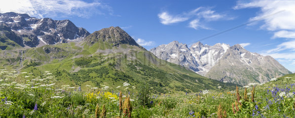 Massif de la Meije from the Col du Lautaret  Alps  France