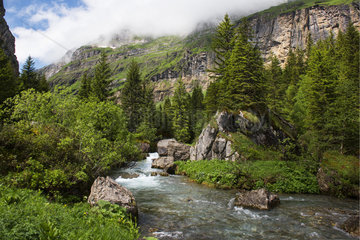 Torrent de Sales  Nature Reserve Sixt-Fer à Cheval  Alps  France