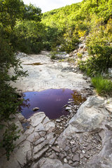 Dry river  Luberon Regional Nature Park  Alpes de Haute Provence  France