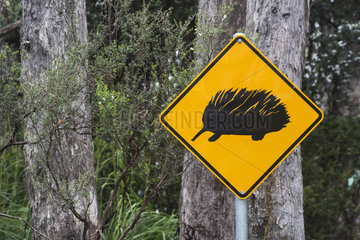 Echidna Road Sign  Cradle Mountain National Park  St Clair Lake  Tasmania  Australia