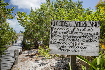 Precautionary sign towards crocodiles  Chinchorro Banks (Biosphere Reserve)  Quintana Roo  Mexico