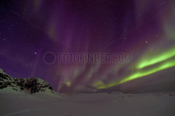 Northern Lights Violet on Cape Swainson  North East Coast Greenland