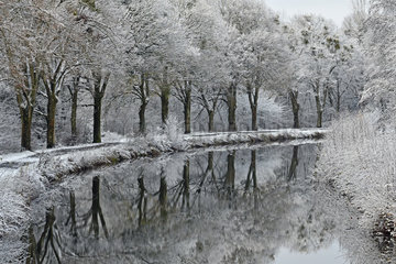 High Saone channel under the snow in winter  green cast of the Pays de Montbeliard  Brognard  Doubs  France