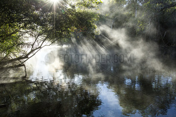 Sunbeams filter through the branches of the trees and the morning fog at Aquário Natural  Bonito  Mato Grosso do Sul  Brazil