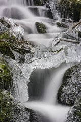 Frozen brook and waterfalls in Alsace - France