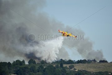 Canadair dropping retardant on the fire scrubland - France