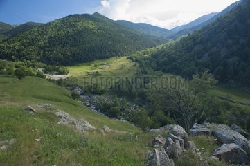 Landscape of the Nature Reserve of Mantet - Pyrenees France