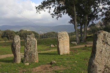 Megalhites of Renaju - Plateau de Cauria Corsica France