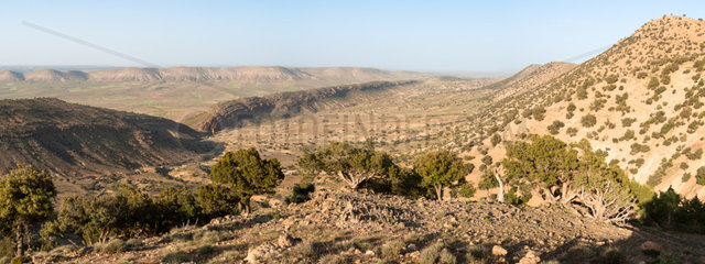 Landscape of semi-desert steppe  Moroccan Oriental