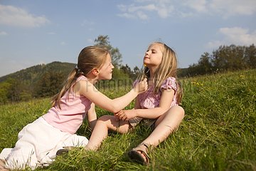 Young girls playing in a meadow in spring - Alsace France