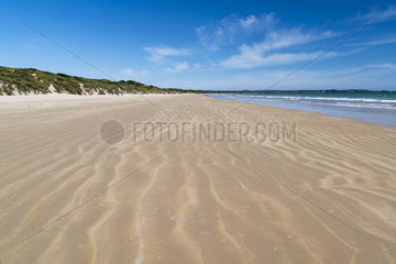 Sandy Beach  Narawntapu National Park  Bass Strait  Tasmania