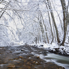 Bayas or Baias River in winter  Gorbeia Natural Park  Alava  Basque Country  Spain