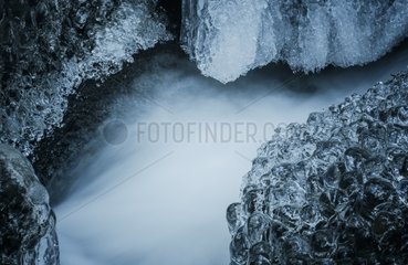 Frost on the side of a brook in Alsace - France