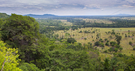 Landscape of Chiribiquete National Park  around San Jose del Guaviare  Colombia
