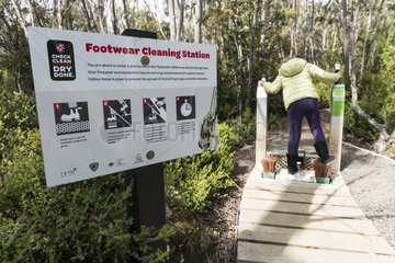 Hiker's Cleaning Station  Hartz Mountains National Park  Tasmania  Australia