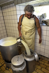 The whey separated from the curd will be given to the pigs  cheese making  tomme de montagne or Bargkas  farm inn Entzenbach  Niederbruck  Haut Rhin  France