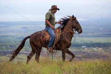 cowboy in nicaragua