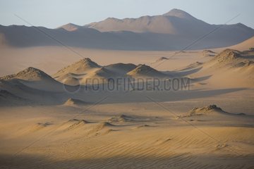 Coastal desert of Nazca - Paracas Reserve Peru