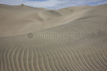 Coastal desert of Nazca - Reserve Bank of San Fernando Peru