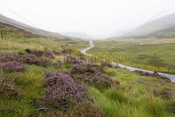 Scotland  Glenshee  Summer  mist  road