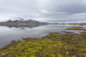 Tundra  lake and mountains in the Woodfjord  Spitzberg  Svalbard