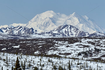 Denali formerly Mount McKinley (20 310 ft)  in spring  Denali National Park  Alaska