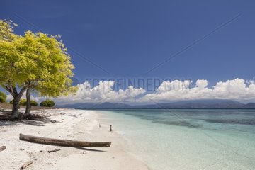 Tropical beach - Kangge island Alor Indonesia