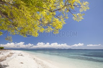 Tropical beach - Kangge island Alor Indonesia