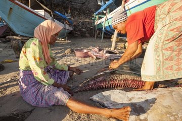Woman processing on Manta ray - Lamakera Solor Indonesia