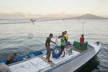 Fishermen weighing tunas - Lamakera Solor Island Indonesia