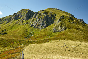 The Roc des Ombres (1633 m) at the end of summer  after a very dry summer we can clearly see on the right the grazing area  Monts du Cantal  Regional Natural Park of Auvergne Volcanoes  France