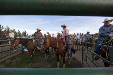 cowboy stampede in Galgary  Canada