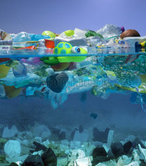 Plastic toy turtle and other plastic garbage floating in the ocean. Unlike organic debris  which biodegrades  the photodegraded plastic disintegrates into smaller and smaller pieces and it concentrates in the upper water column. As it disintegrates  the plastic ultimately becomes small enough to be ingested by aquatic organisms that reside near the ocean's surface. In this way  plastic may become concentrated in neuston  thereby entering the food chain. While eating their normal sources of food  plastic ingestion can be unavoidable or the animal may mistake the plastic as a food source.